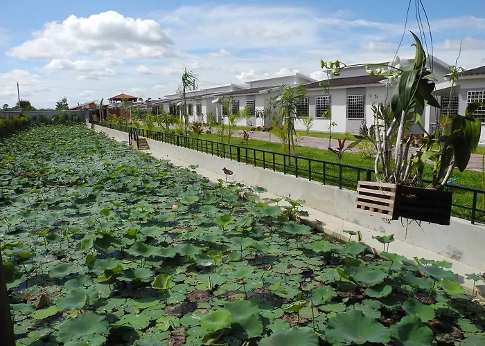 Ry's Lotus D'angkor Resort 3*